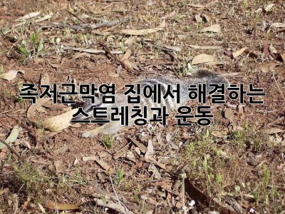 족저근막염, 집에서 해결하는 스트레칭과 운동!