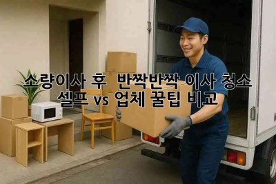 소량이사 후 🏠✨ 반짝반짝 이사 청소! 셀프 vs 업체 꿀팁 비교 🍯