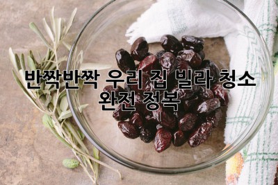 ✨ 반짝반짝 우리 집! 빌라 청소 완전 정복 ✨