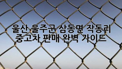 울산 울주군 삼동면 작동리 중고차 판매 완벽 가이드