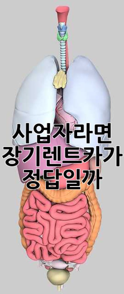 사업자라면 장기렌트카가 정답일까? 🤔