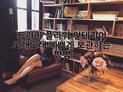 드라이 플라워 인테리어, 오래오래 예쁘게 보관하는 방법💐