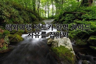 해외여행🚗 렌트카 완벽 가이드🔑: 자유를 잡아봐!