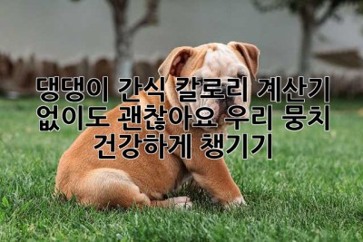 댕댕이 간식 칼로리 계산기 없이도 괜찮아요! 우리 뭉치 건강하게 챙기기🐶