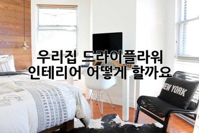 우리집 드라이플라워 인테리어, 어떻게 할까요? 🤔