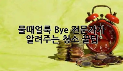 ✨물때/얼룩 Bye! 전문가가 알려주는 청소 꿀팁✨