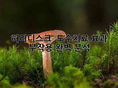 허리디스크 😢 도수치료 효과💯 & 부작용⚠️ 완벽 분석