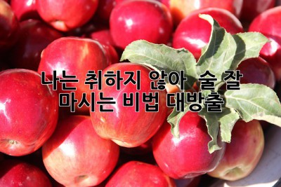 나는 취하지 않아! 😎 술 잘 마시는 비법 대방출! 🍻