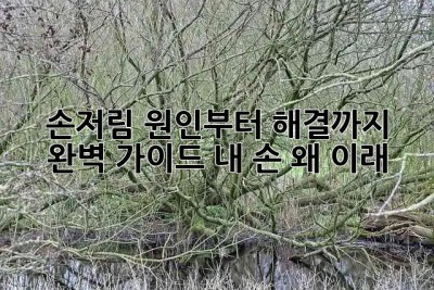 손저림?😨 원인부터 해결까지! 완벽 가이드 (내 손 왜 이래?!)