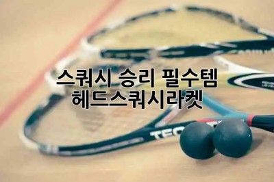 스쿼시 승리 필수템! 헤드스쿼시라켓🏆