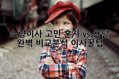 소량이사 고민? 혼자 vs 용달 🚚 완벽 비교분석! #이사꿀팁