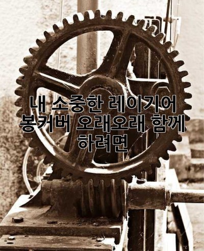내 소중한 레이기어 봉커버, 오래오래 함께 하려면? ✨