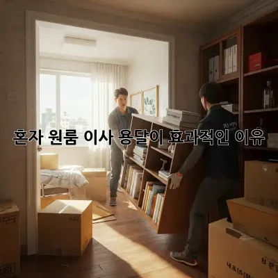 혼자 원룸 이사? 용달이 효과적인 이유!