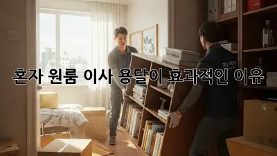혼자 원룸 이사? 용달이 효과적인 이유!