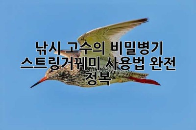 낚시 고수의 비밀병기? 스트링거꿰미 사용법 완전 정복!