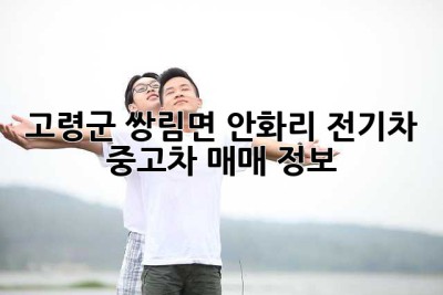 고령군 쌍림면 안화리 전기차 중고차 매매 정보