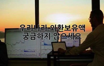 우리나라 외환보유액, 궁금하지 않으세요? 🤔