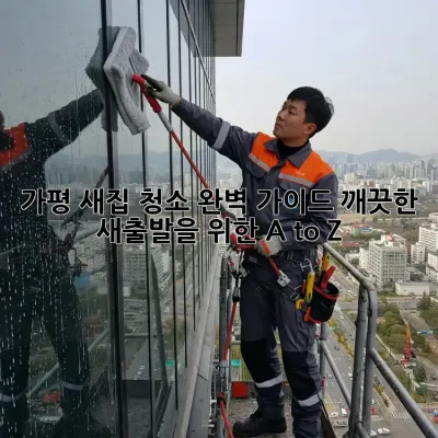 가평 새집 청소 완벽 가이드: 깨끗한 새출발을 위한 A to Z