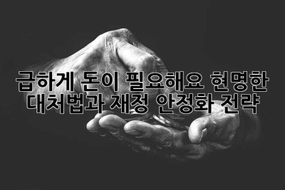급하게 돈이 필요해요? 현명한 대처법과 재정 안정화 전략