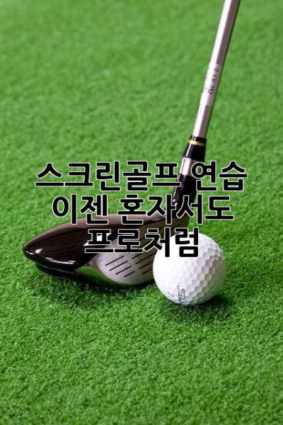 스크린골프 연습? 이젠 혼자서도 프로처럼!